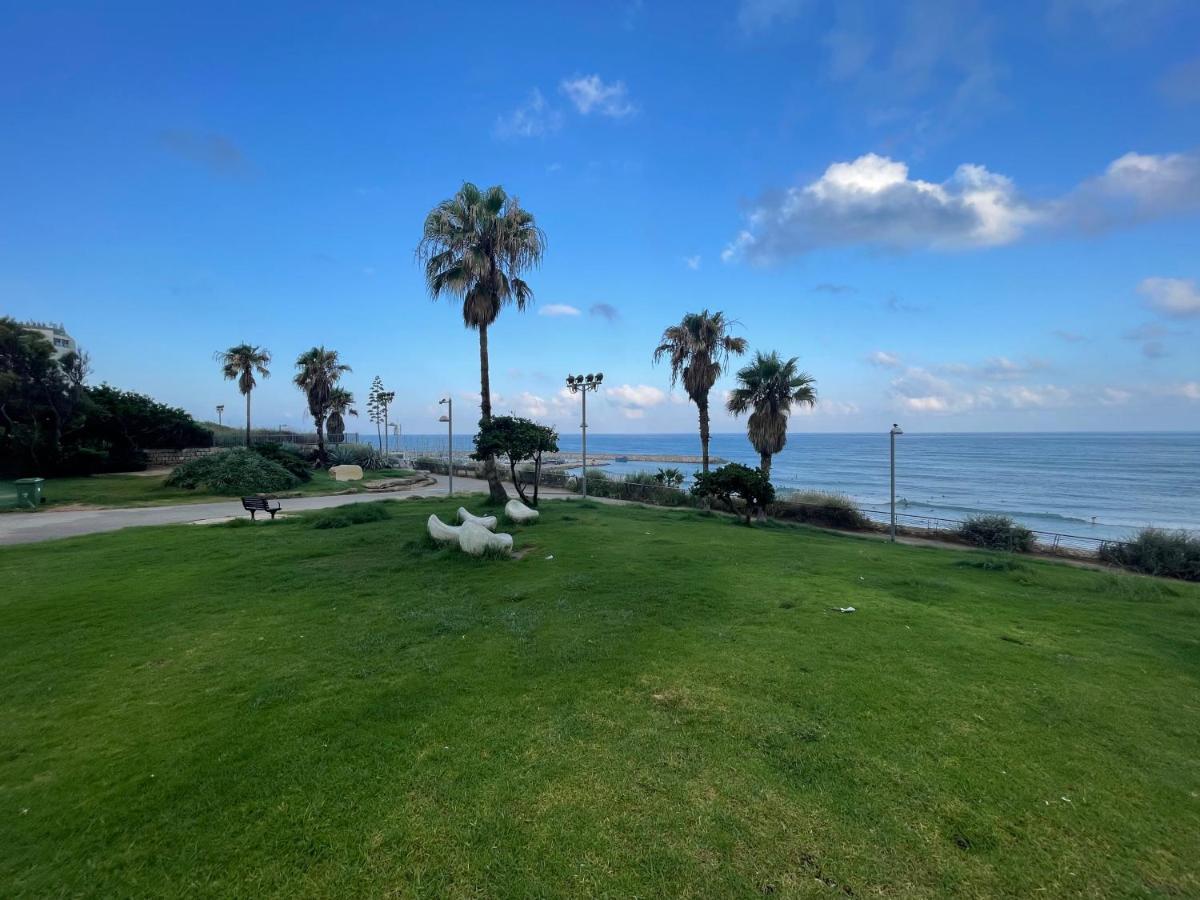 Luxury Units By Hilton Beach *